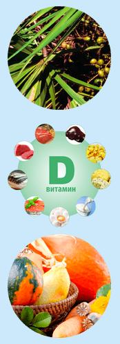 Saw Palmetto - Състав